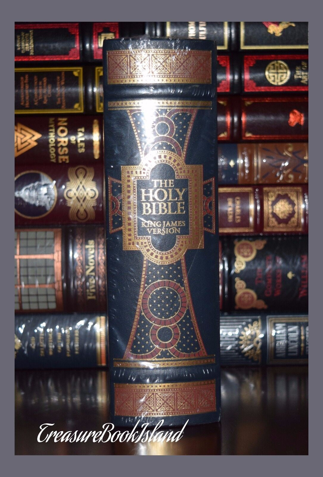 NEW Holy Bible KJV Illustrated Gustave Dore Leather Bound Collectible