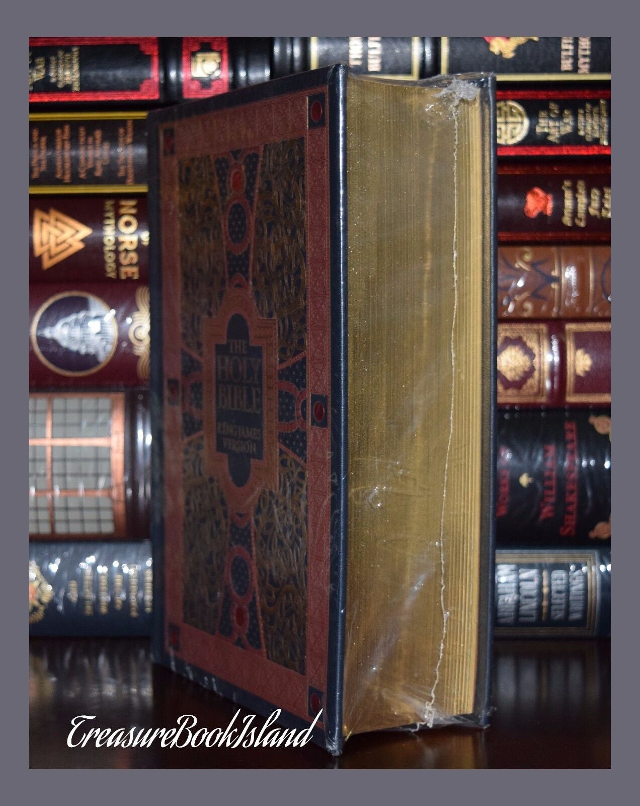 NEW Holy Bible KJV Illustrated Gustave Dore Leather Bound Collectible