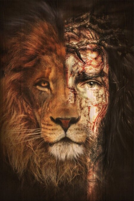 Jesus Lion Christ The Lion Of Judah Poster