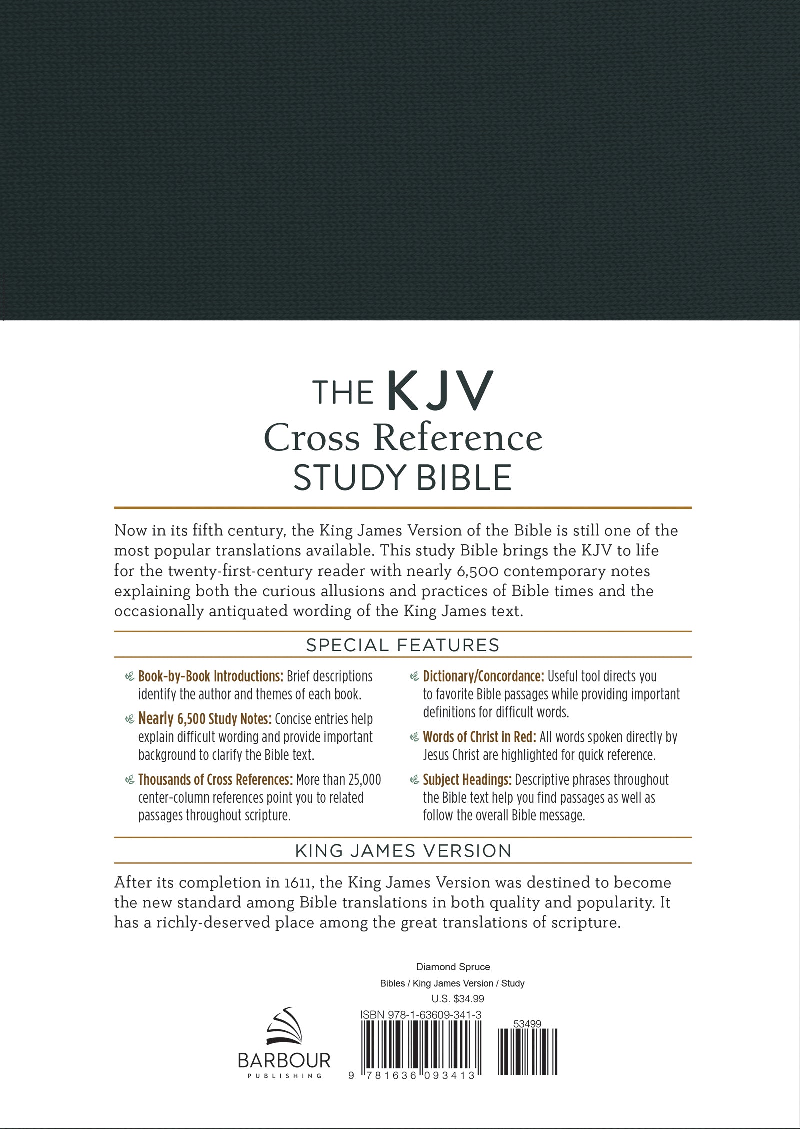 KJV Cross Reference Study Bible [Diamond Spruce] - Jesus Christ Heals